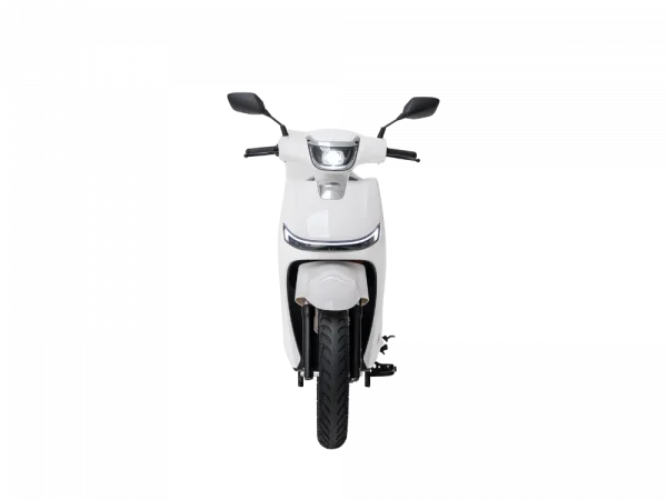 Efun deer blanca frontal